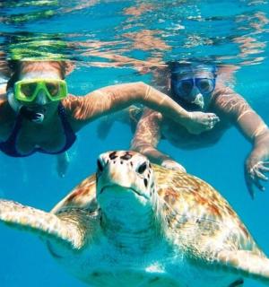 two people swimming in the water with a turtle