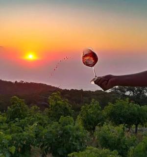 osoba držící sklenici vína před západem slunce