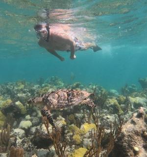 muž plave s želvou přes korálový útes
