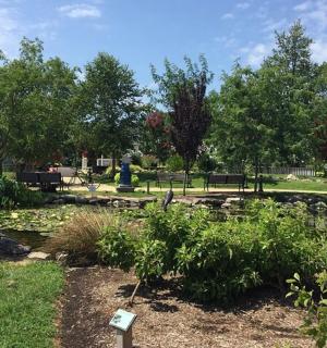 公园里有池塘的花园