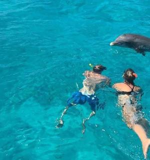 两个人和海豚一起在水中游泳