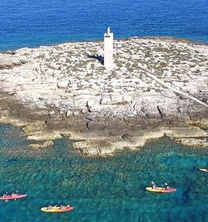 岛上有一座灯塔，水中有三艘船