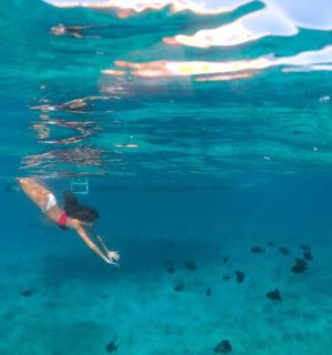 在海里游泳的人