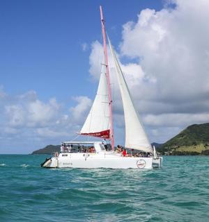 a white sail boat in the water on the ocean
