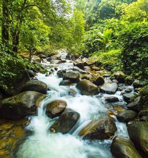 a stream of water with rocks in a forest