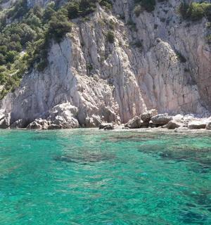 山边的一大片水域