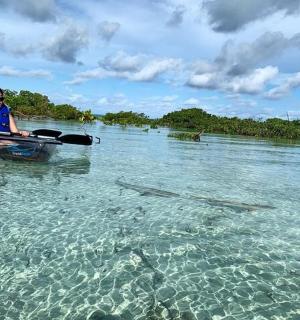 一名女子在水中的一艘船上