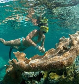 在珊瑚礁附近的水中游泳的人