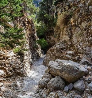 skalnatá horská cesta s kameny a stromy