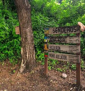 a person standing next to a sign in the woods