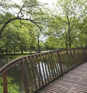 公园池塘上的一座木桥