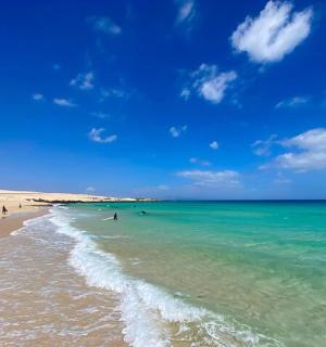 一群人在沙滩上与大海