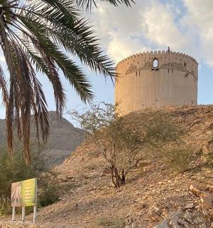 位于山坡上、长满棕榈树的建筑