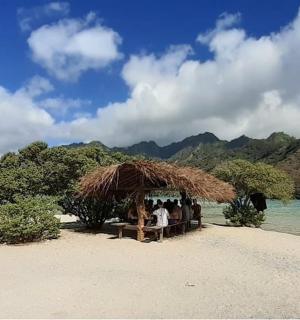 un grup de persones dretes sota un para-sol a la platja