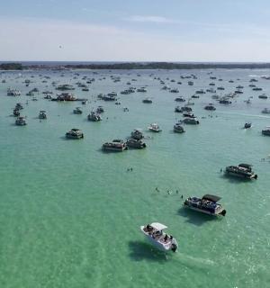 一大群船只在一大片水域