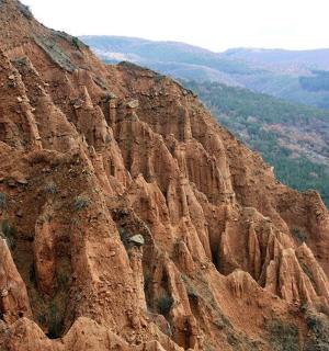 远处有树木的一座棕色大山