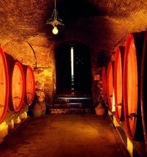 地下室里有一排酒桶的房间