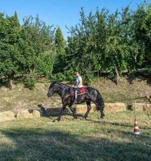 一名男子牵着一名骑马的女子