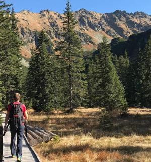 a person walking on a wooden trail in the mountains