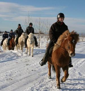 Un grupo de personas montando a caballo en la nieve.