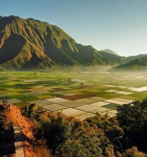 田野景色,背景是一座山