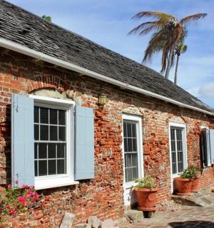 cihlová budova s bílými okny a palmou