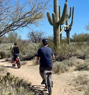 两个人在仙人掌附近的泥路上骑自行车