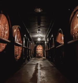 a dark room with a bunch of wine barrels