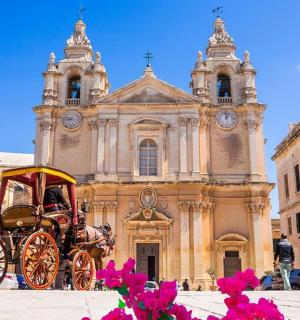 建筑物前的一辆马车