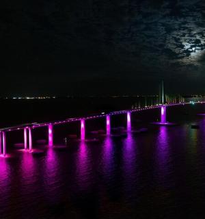 a bridge with purple lights in the water at night
