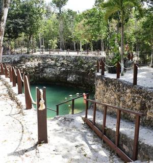 公园里的一个小水池