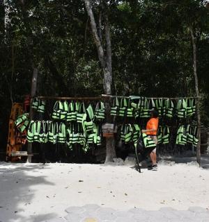 一个人站在树篱旁