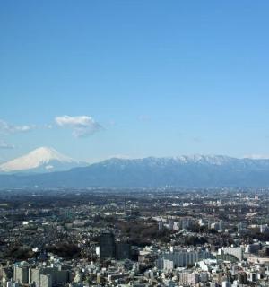 以山为背景的城市景观