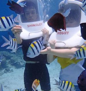 两个孩子站在养鱼的水族馆前