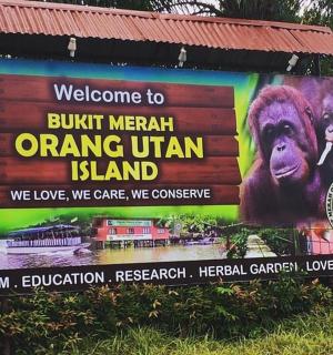 猩猩岛的标志牌上画着一只猴子