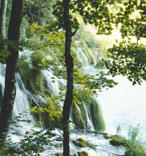 森林中水体旁的瀑布