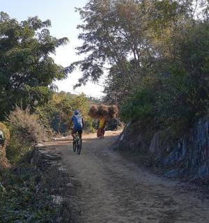 一个人骑着自行车在土路上和一头大象一起