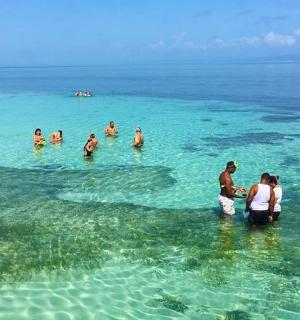 a group of people in the water at the beach