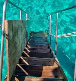 a stairway leading into a pool of water