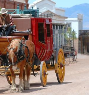 muž jedoucí na ulici v kočáře taženém koňmi