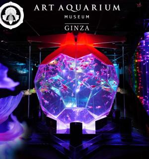 Art Aquarium Museum Tour