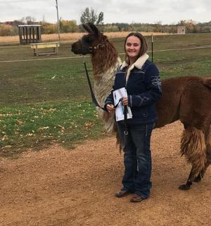 a woman is standing next to a small donkey
