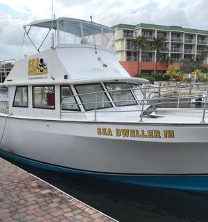 一艘白色的船停靠在码头