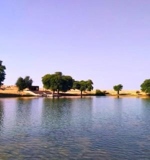 一大片水域，背景是树木