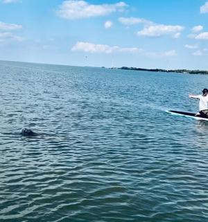 一名男子坐在水中的桨板上