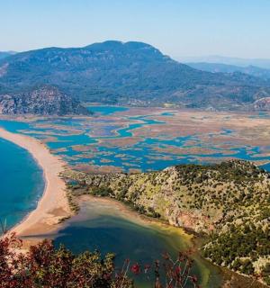 海滩和海洋的鸟瞰图