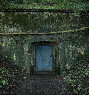 a door in the side of a moss covered wall