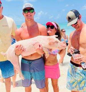 a group of men holding a pig on the beach