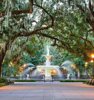 a fountain in the middle of a park with trees