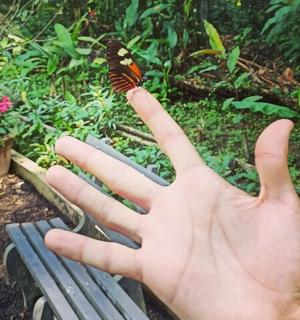 公园长椅上抱着蝴蝶的人